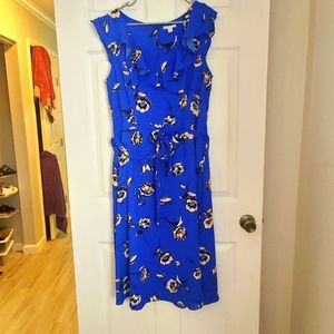 CATO - Never worn dress size large. COLBOT Blue with black and white flowers.